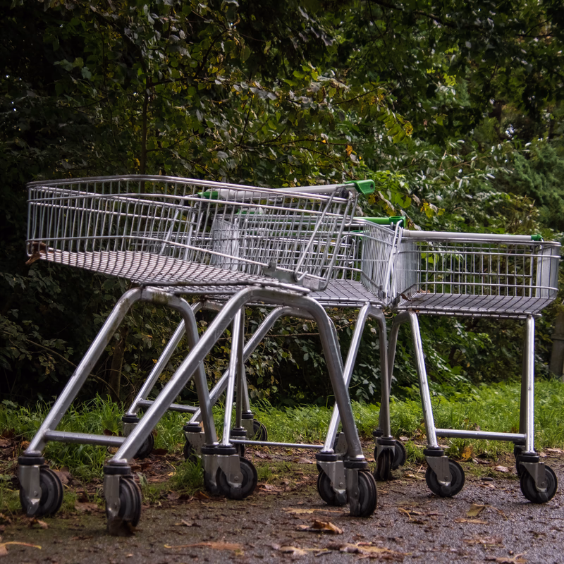 A group of three shopping trolleys on a wooded path.