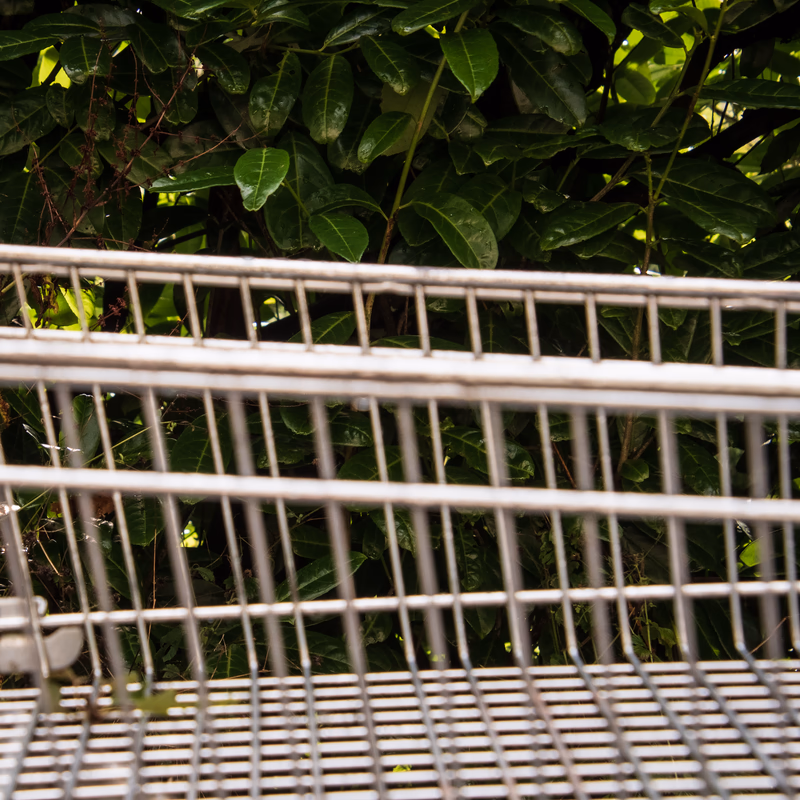 The spine of the side of a shopping trolley, against foliage.