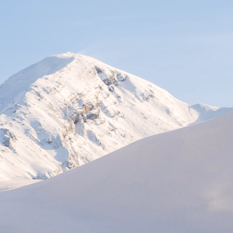 Snowline, late morning, V