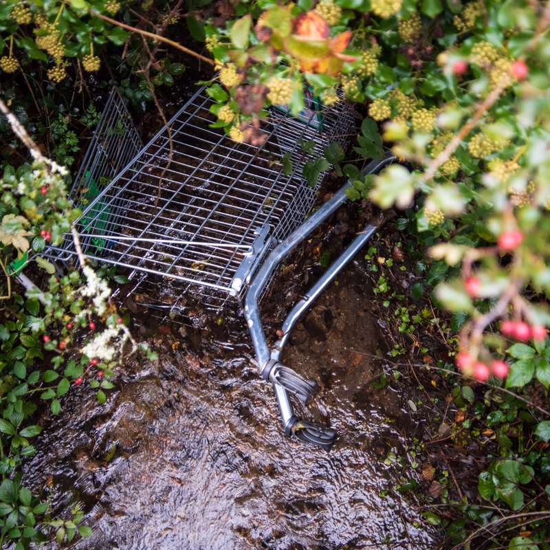 A shopping trolley resting in a creekbed, vignetted by berry bushes.