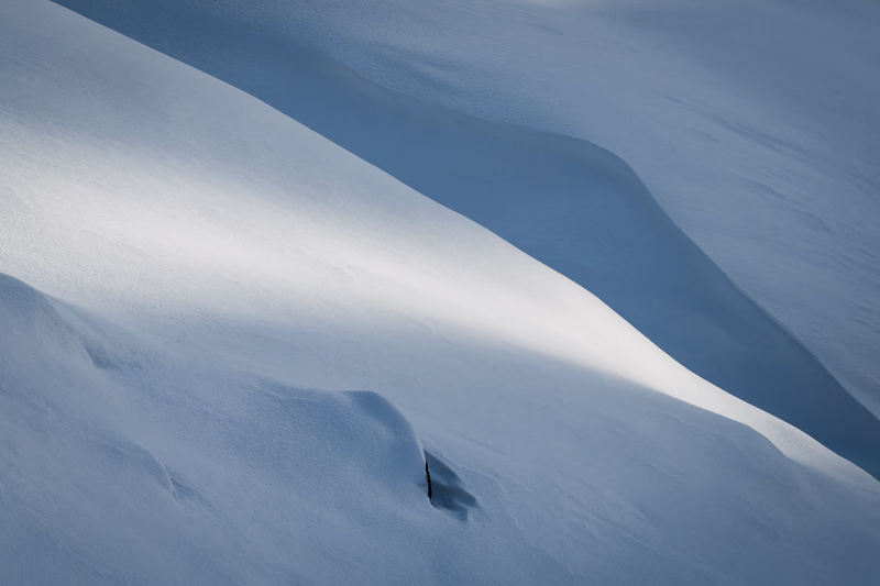 Snowline, late morning, I