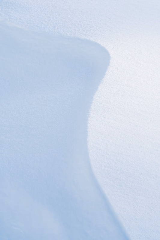 Snowline, late morning, II