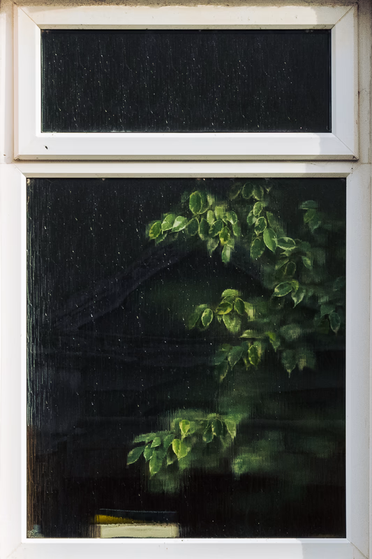 Deep woods, Falmouth